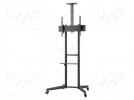 Halter für LCD/LED; freistehender Griff; 50kg