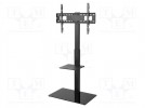Halter für LCD/LED; freistehender Griff; 40kg