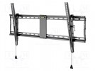 Halter für LCD/LED; schwarz; schräg; 70kg