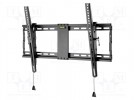Halter für LCD/LED; schwarz; schräg; 70kg