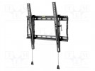 Halter für LCD/LED; schwarz; schräg; 70kg