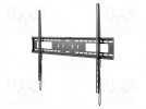 Uchwyt do LCD/LED; czarny; stała; 70kg