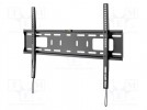 Uchwyt do LCD/LED; czarny; stała; 50kg