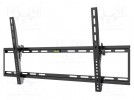Uchwyt do LCD/LED; czarny; uchylna; 75kg