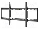 Uchwyt do LCD/LED; czarny; stała; 75kg