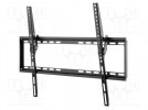 Uchwyt do LCD/LED; czarny; uchylna; 35kg