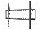 Uchwyt do LCD/LED; czarny; stała; 35kg