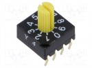 Zadajnik kodu; Poz: 10; PCB,THT; 100mΩ; Obc.DC @R: 0,03A/15VDC