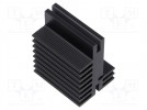 Radiator: wytłaczany; T; czarny; L: 37,5mm; W: 30mm; H: 45mm; Gwint: M3