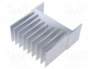 Radiator: wytłaczany; żeberkowy; aluminiowy; L: 50mm; W: 114,2mm