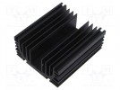 Radiator: wytłaczany; żeberkowy; czarny; L: 100mm; W: 87mm; H: 41mm