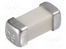 Fuse: fuse; 2.5A; 125VDC; quick blow; 6.1x2.54x2.79mm; SMD; 0679L