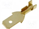 Terminal: flat; 4.7mm; 0.3÷1mm2; gold plated; male