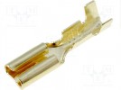 Terminal: flat; 2.8mm; 0.5÷1mm2; gold plated; female