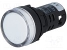 Kontrolllämpchen; 22mm; Bel: LED 24V DC; konvex; IP65; Farbe: weiss