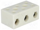 Listwa zaciskowa; tory:3; zacisk śrubowy; 16mm2; 450V