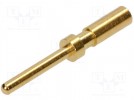 Contact; male; 26÷22AWG; Buccaneer 400; gold plated; crimped; 5A