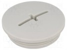 Blende; M32; IP54; Mat: Polyamid; grau; Herst.-Serie: SKINDICHT