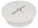 Blende; M25; IP54; Mat: Polyamid; grau; Herst.-Serie: SKINDICHT