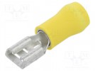 Konektor: płaski; 6,3mm; 0,8mm; żeński; 2,5÷6mm2; zaciskanie; żółty