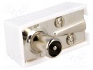 Plug; coaxial 9.5mm (IEC 169-2); male; angled 90°; for cable