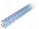 Konstruktionsrohr; Nutbreite:6mm; W:30mm; H:30mm; L:1m; Aluminium