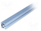 Konstruktionsrohr; Nutbreite:6mm; W:30mm; H:30mm; L:1m; Aluminium