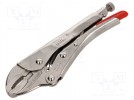 Zange; Anwendung: zum Greifen von Form- und Flachteilen; 180mm