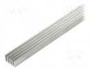 Radiator: geprägt; gerippt; natürlich; L: 1000mm; W: 19mm; H: 10mm