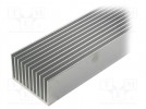 Radiator: wytłaczany; żeberkowy; naturalny; L: 1000mm; W: 100mm