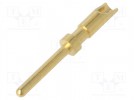 Contact; male; copper alloy; gold-plated; 28AWG÷24AWG; soldering