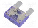 Fuse: fuse; 100A; 32VDC; automotive; 29mm; MAXI