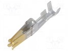 Styk; żeńskie; 16AWG÷14AWG; Mini-Fit Sr; złocony; zaciskanie; 50A
