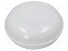 Lampe: LED Beleuchtungsfassung; PANDA LED; Polycarbonat; IP65