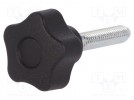 Rändelschraube; Ø: 25mm; Außengew: M6; 30mm; H: 19mm; Deckel: schwarz