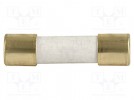 Fuse: fuse; time-lag; 2A; 250VAC; 300VDC; SMD; ceramic,cylindrical