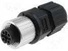 Verbindung: M12; weiblich; PIN:4; gerade; für Kabel; Stecker; Löten
