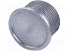 Switch: piezoelectric; 1-position; SPST-NO; 0.04A/24VAC; IP67