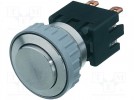 Switch: vandal resistant; 2-position; DPST-NO; 12A/250VAC; IP64
