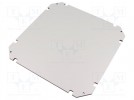 Mounting plate; insulating; W: 250mm; L: 250mm; Series: GEOS; grey