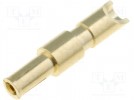 Contact; female; PX0412; gold-plated; soldering