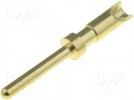 Contact; male; 26÷22AWG; Buccaneer 400; gold plated; soldering