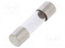 Sicherung: Schmelz; 100mA; 250VAC; schnell; zylindrisch,aus Glas