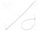 Opaska zaciskowa; L: 160mm; W: 2,5mm; naturalny; poliamid; 80N