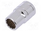 Schlüssel; Zwölfkantsteckschlüssel; 10mm; 3/8"
