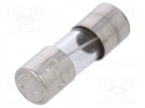 Fuse: fuse; time-lag; 0.25A; 250VAC; cylindrical,glass; 5x15mm