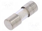Fuse: fuse; quick blow; 0.5A; 250VAC; cylindrical,glass; 5x15mm