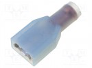 Terminal: flat; 6.3mm; 0.8mm; female; 2.5÷3mm2; crimped; for cable