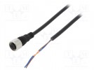 Connection lead; M12; PIN: 2; straight; 2m; plug; Insulation: PVC