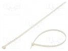 Opaska zaciskowa; L: 580mm; W: 12,5mm; naturalny; poliamid; 1112N